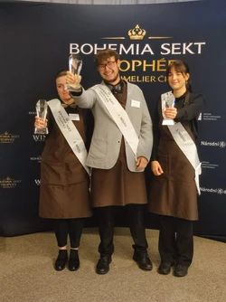 249f1481-fbbf-4a39-aeb4-0ed43d5547e4