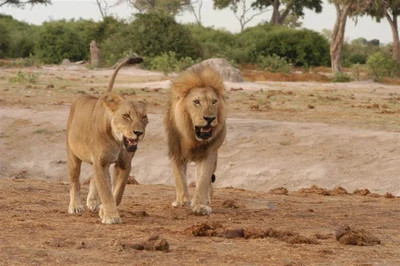 Cestovatelský festival