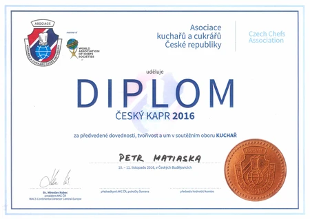 Hotelov&aacute; &scaron;kola Plzeň