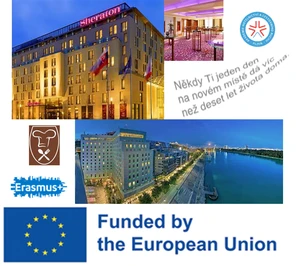 Obr&aacute;zek WhatsApp, 2025-04-08 v 152918_d82559b0