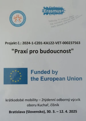 Obr&aacute;zek WhatsApp, 2025-04-08 v 153130_6baba8b2