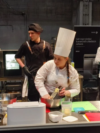 Obr&aacute;zek WhatsApp, 2025-04-10 v 081515_ee552773