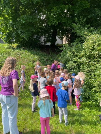 Obr&aacute;zek WhatsApp, 2025-06-03 v 112655_ab942d80