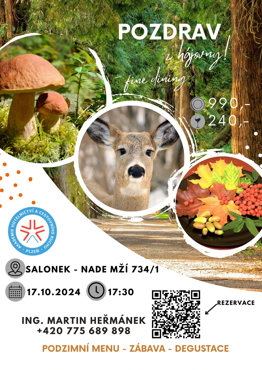 Pozv&aacute;nka - Pozdrav Z H&Aacute;JOVNY - finpdf