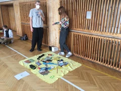 Smyslov&yacute; den 17