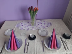 Tomanov&aacute; Simona